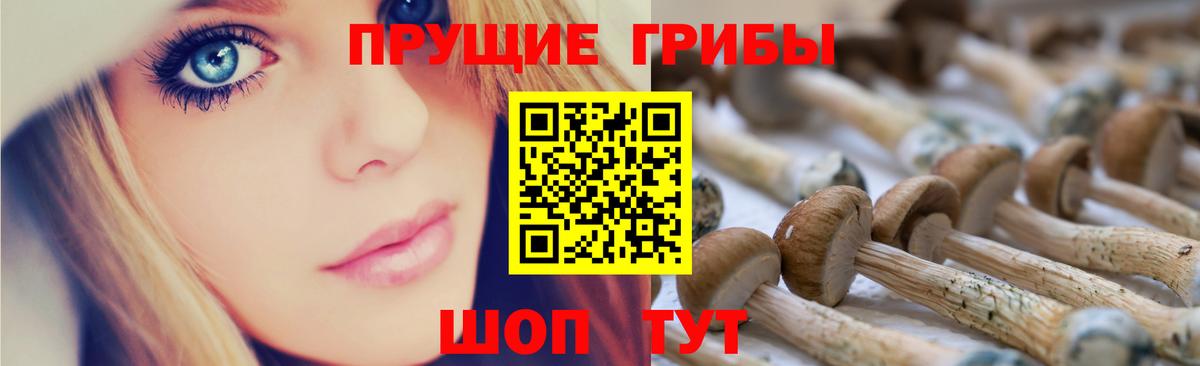Галлюциногенные грибы Psilocybine cubensis Нефтекамск