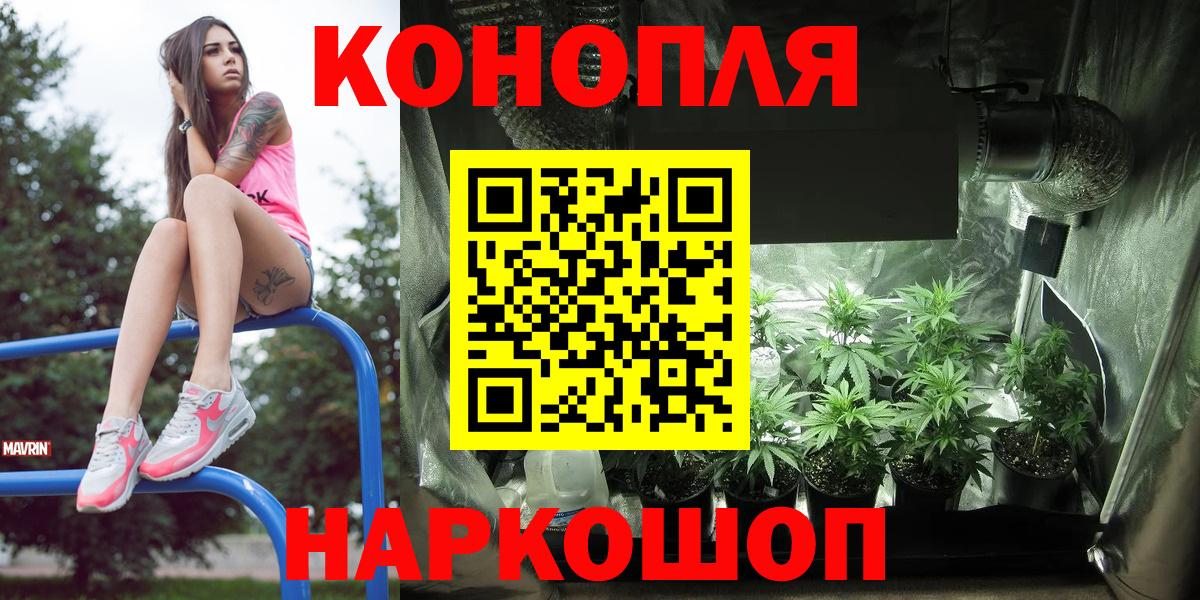 Бошки марихуана сатива  Вход с VPN  Канабис марихуана  Марихуана Ganja  Нефтекамск  Марихуана сатива 
